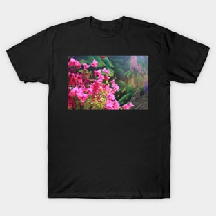 Hot pink Bougainvillea T-Shirt